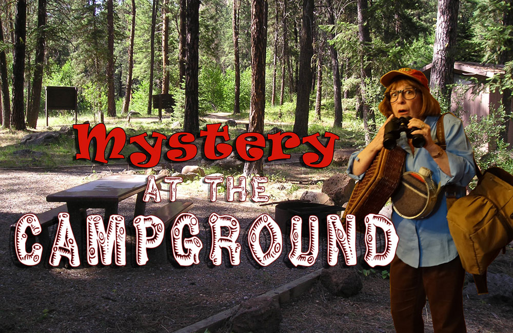 Mystery at the Campground